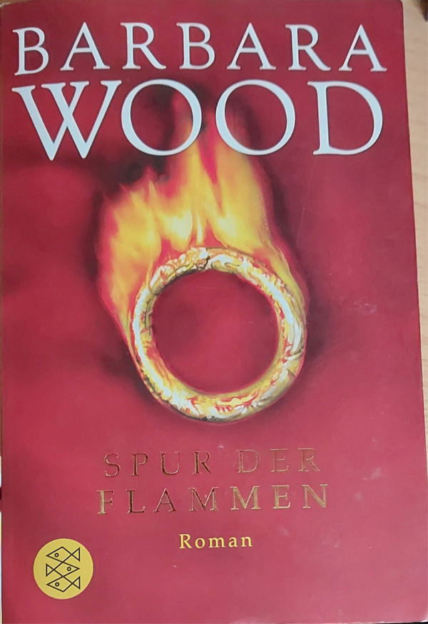 Barbara Wood Spur der Flammen