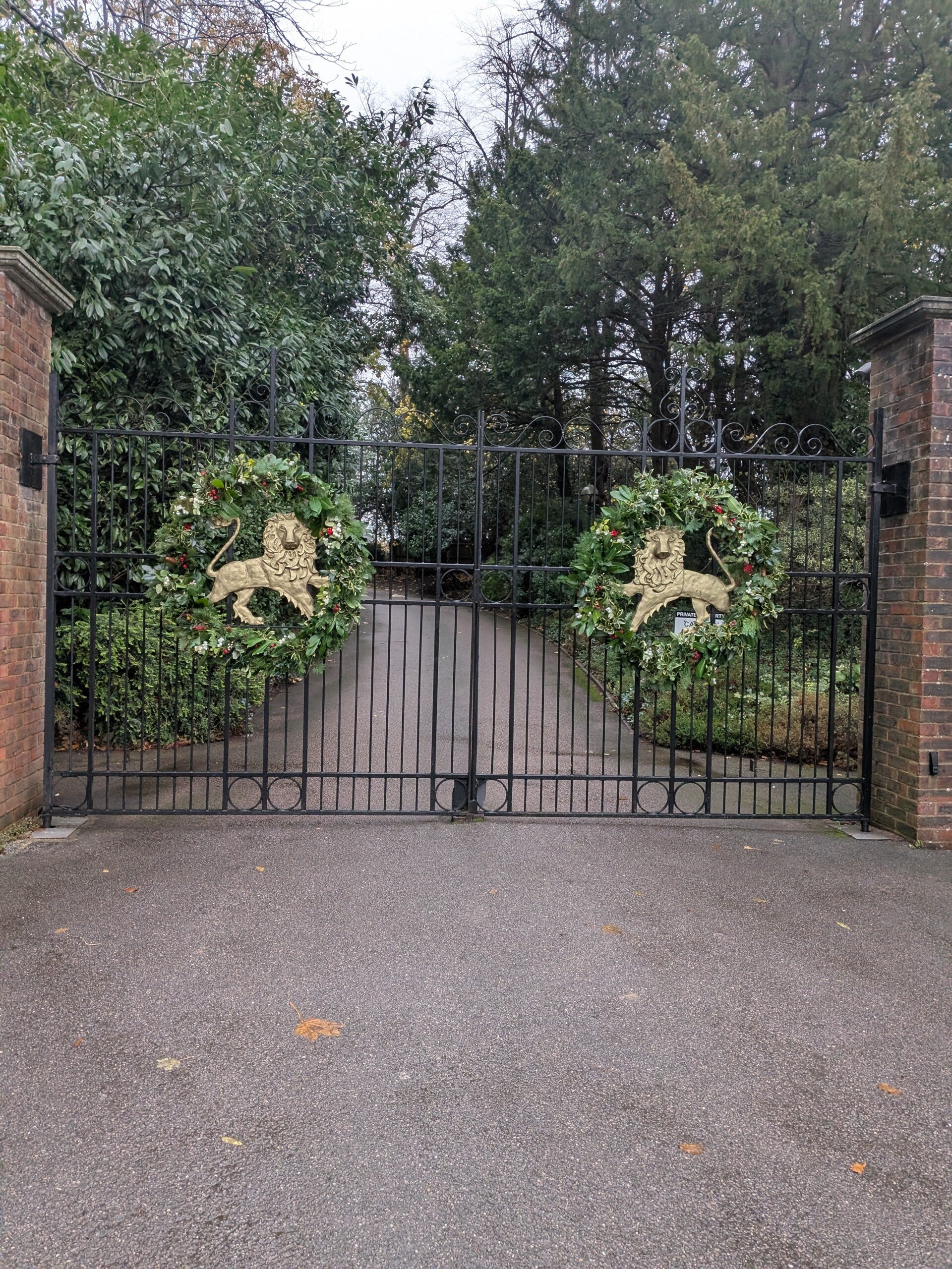 gates-standard-z4svh6.jpg
