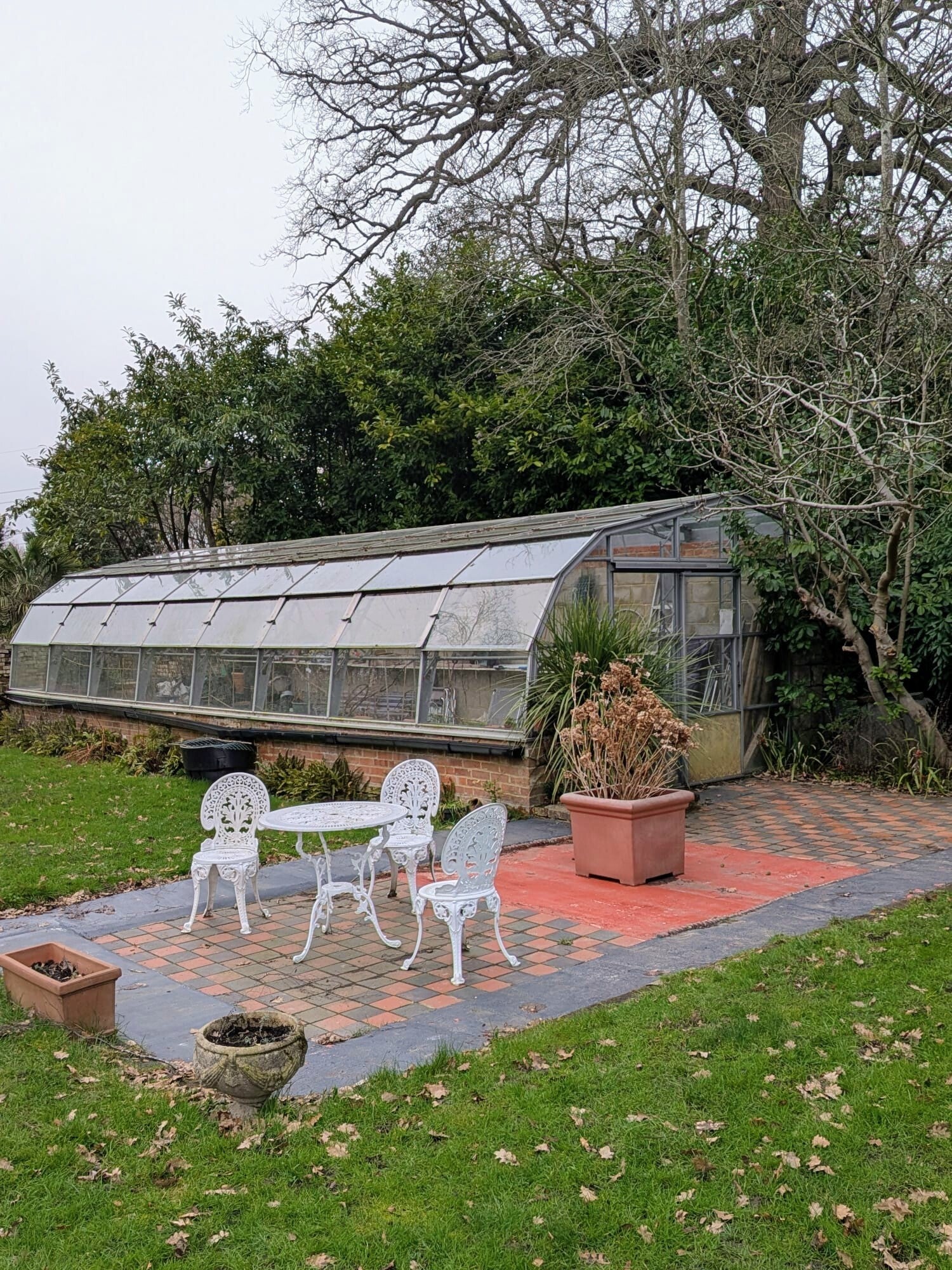 green-house-2-standard-yr7q8u.jpg
