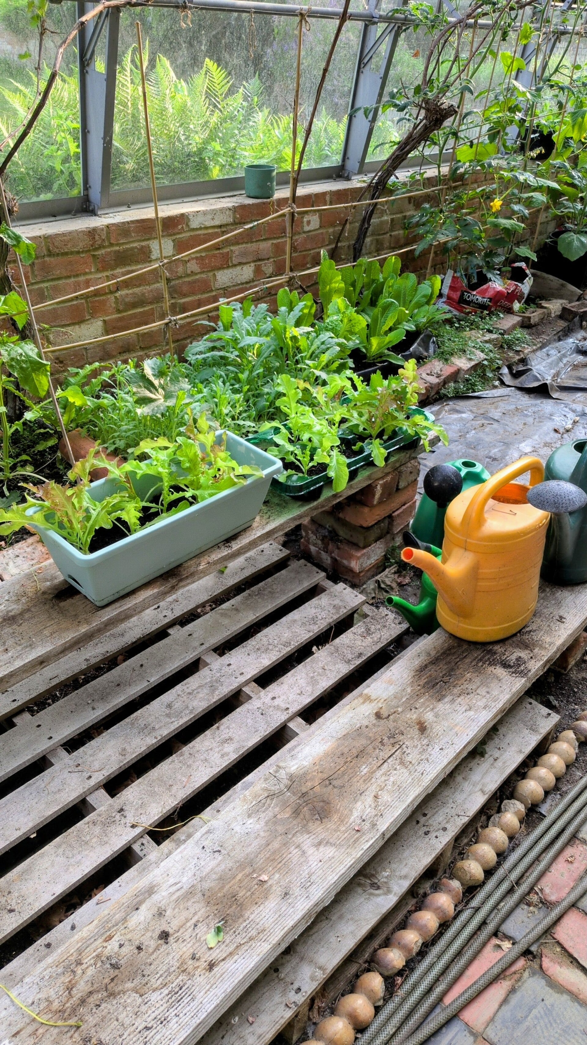 grow-standard.jpg