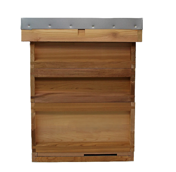 Budget National Cedar Hive (Flatpack)