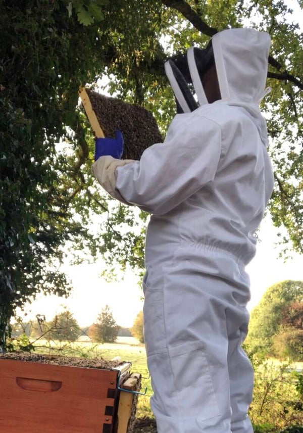Beginner Beekeeping 1-to-1 Experience