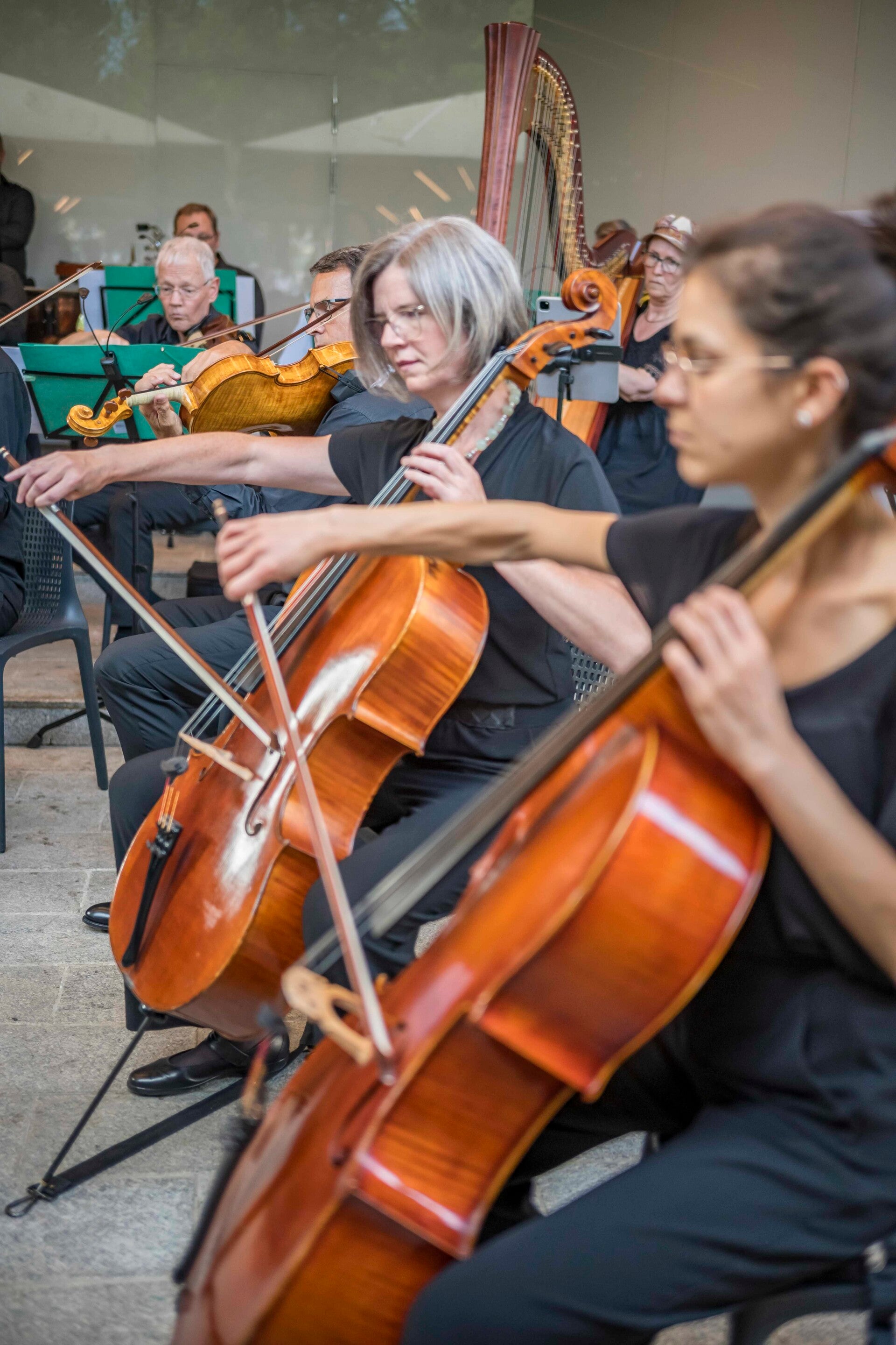 Ein Bild, das musizierende Cellistinnen zeigt