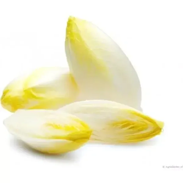 witloof