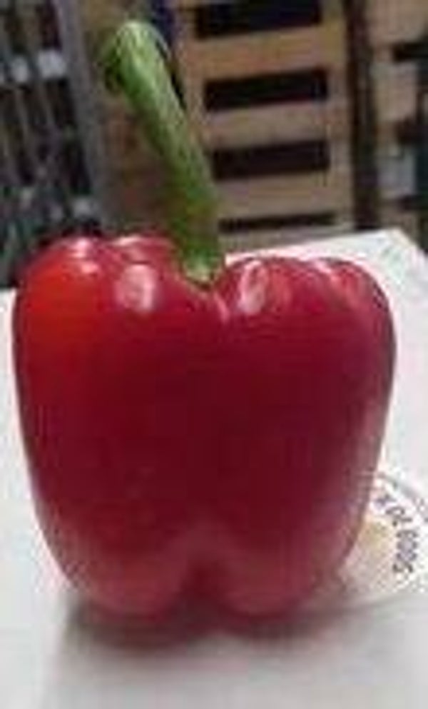 paprika rood