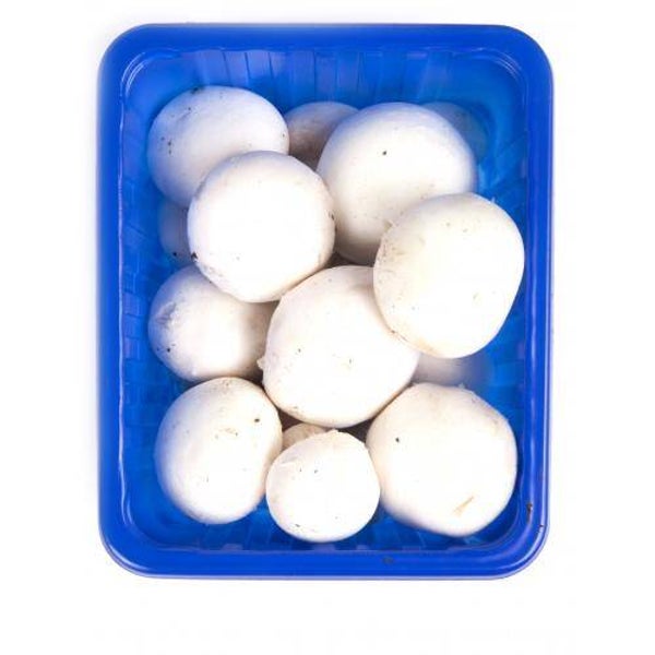 champignons wit 500 gr