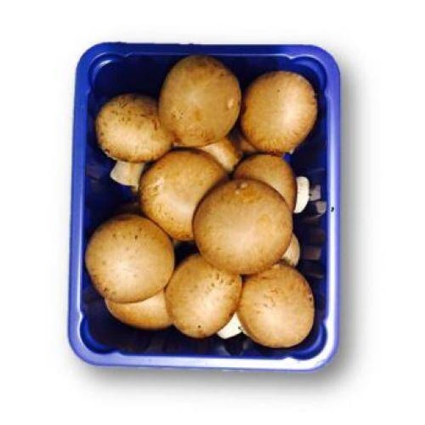 champignons de paris 250 gr