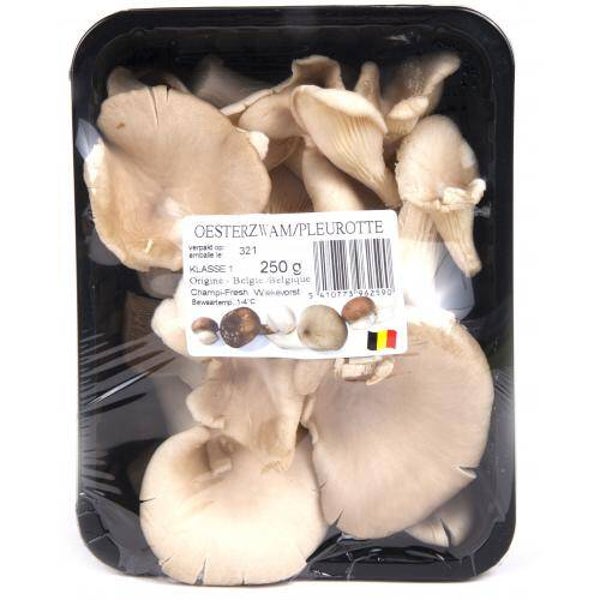 oesterzwam 1.5 kg