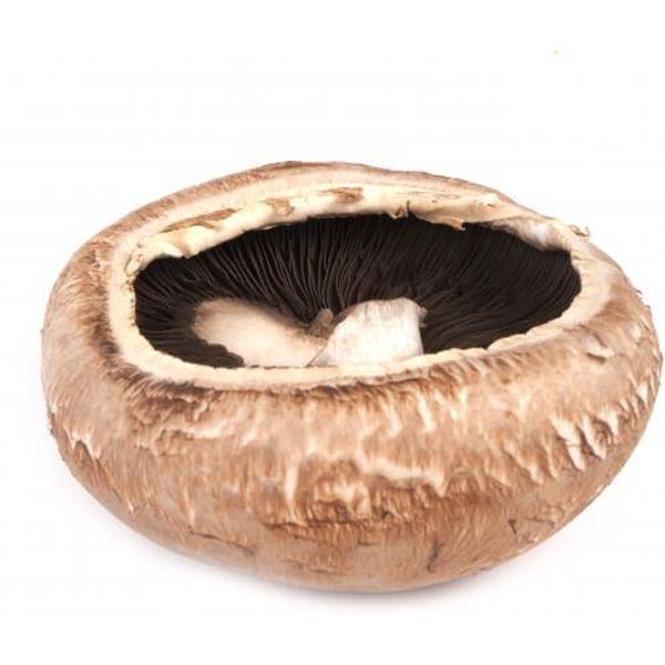 portobello vrac 1.5 kg