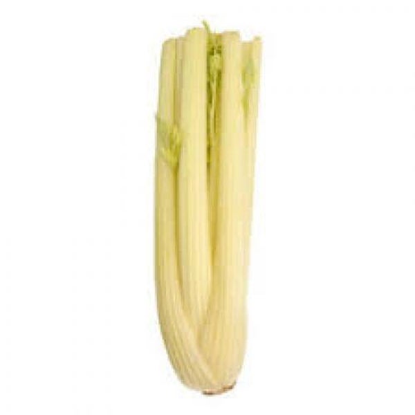 witte selder