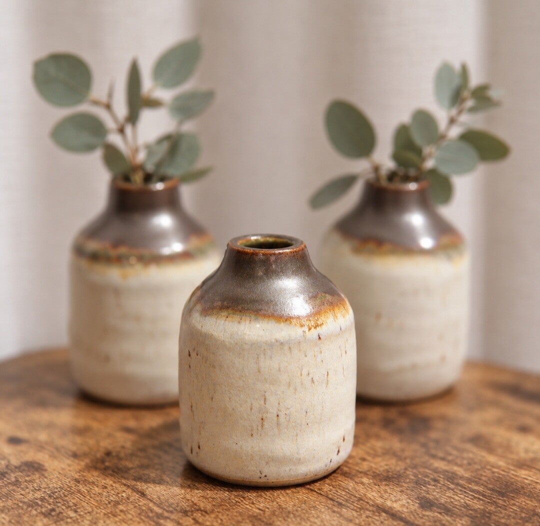 Mini vaasjes " les terres sauvages"