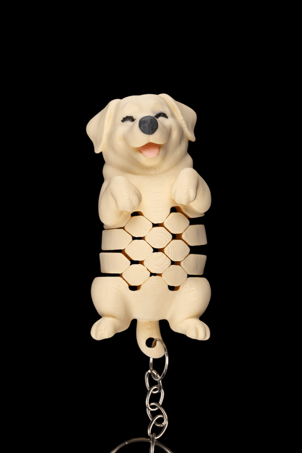 Mesh Dog 2