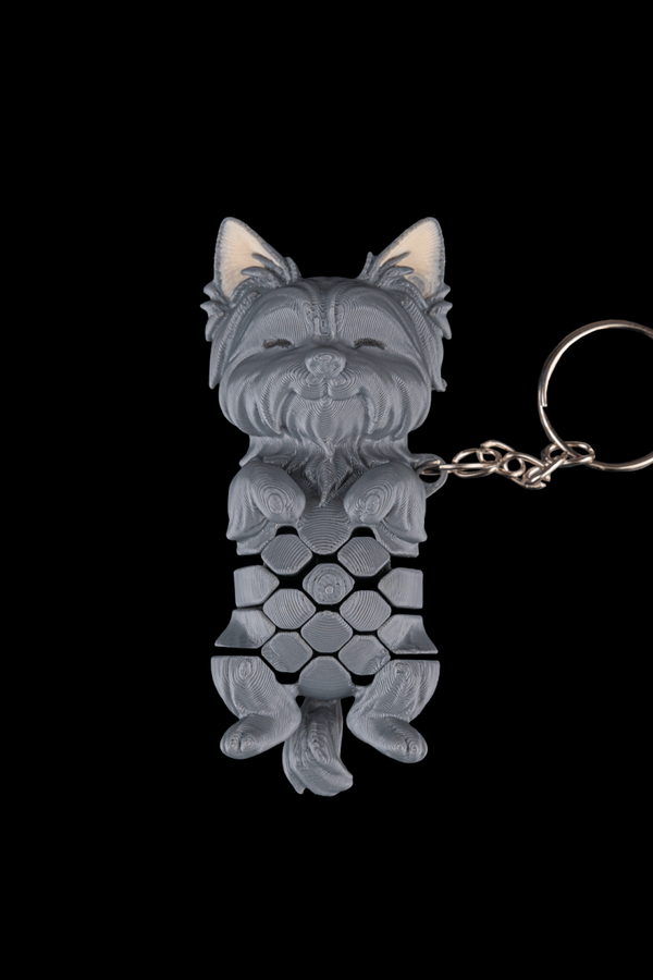 Mesh Dog 1