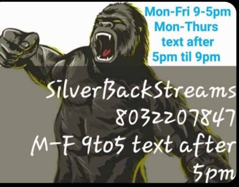 Silverback Streams 