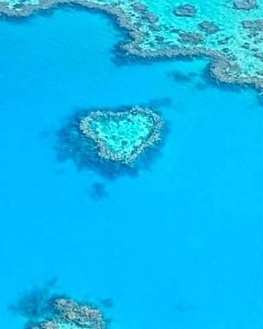 Heart reef