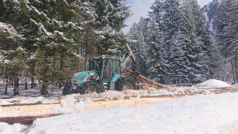 Traktor zieht Holz durch den Schnee in Schoppernau