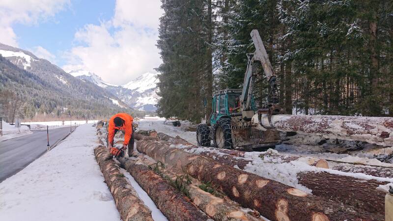 Holzarbeiten für das FUXREVIER in Schoppernau