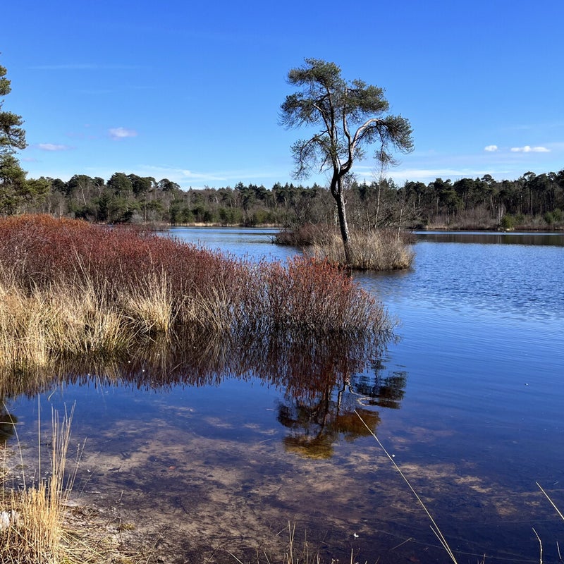 Persoonlijke aandacht