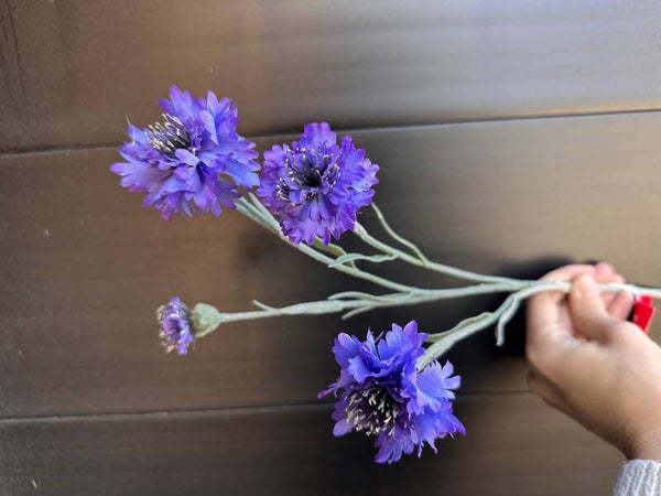 bergbloem blauw kort