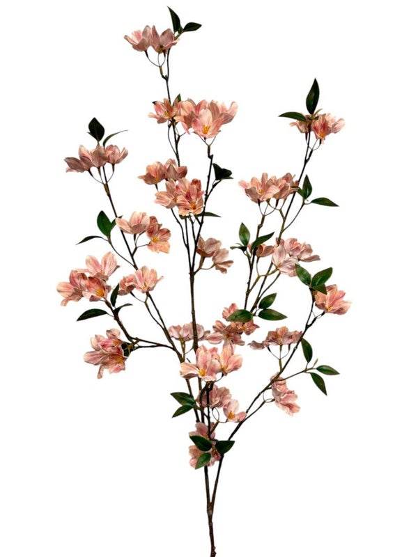 'XL BLoom blossom tak