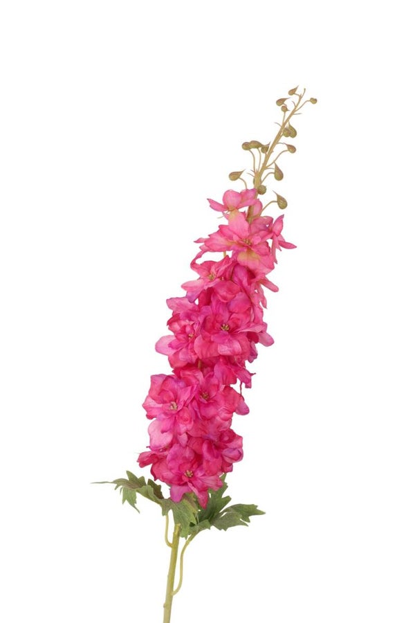 delphinium XL roze