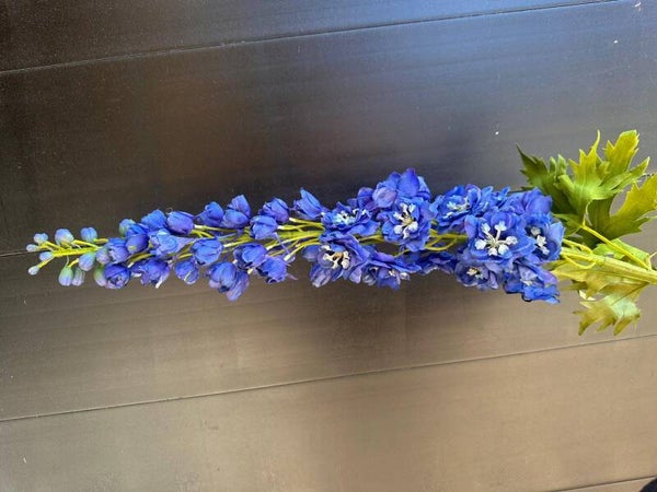delphinium royal XXL Blauw