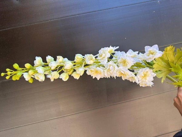 delphinium royal XXL wit