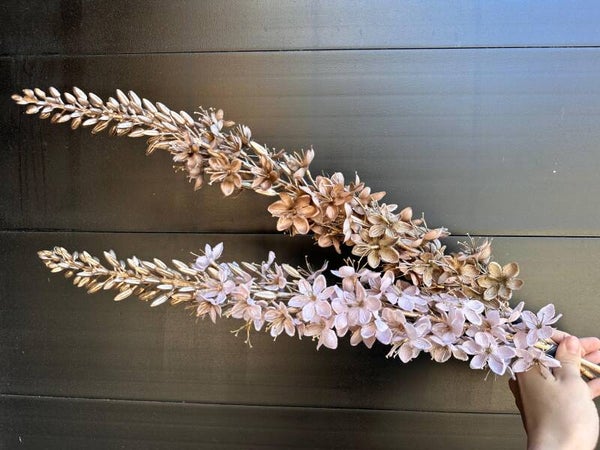 eremurus per stuk toupe wit of toupe gold