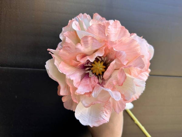 klaproos roze