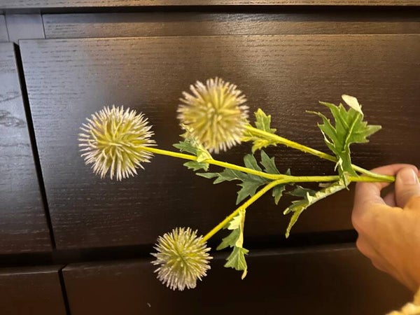 kogel distel thistle spray 86cm