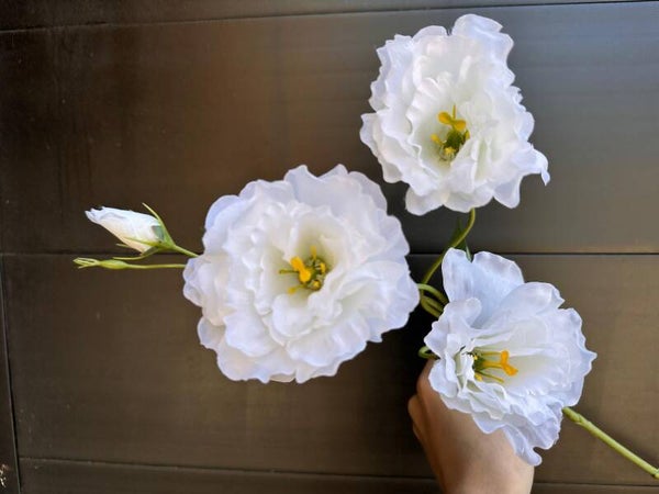 lisianthus