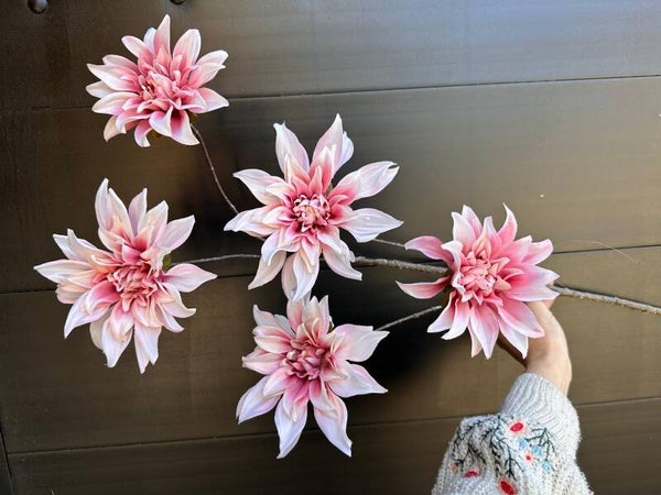 XL royal tros dahlia