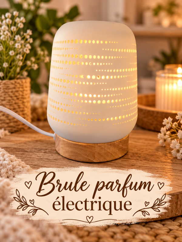 Brûleur  de fondants  électrique