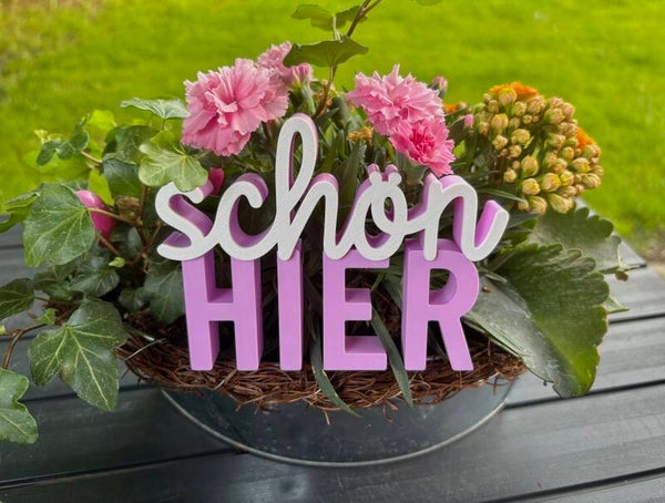 3D Schriftzug "schön HIER"