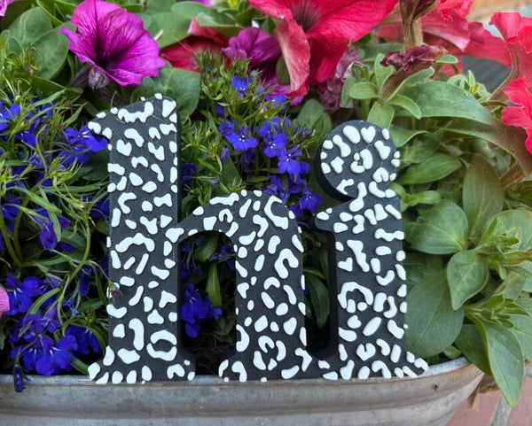 3D Schriftzug "hi"