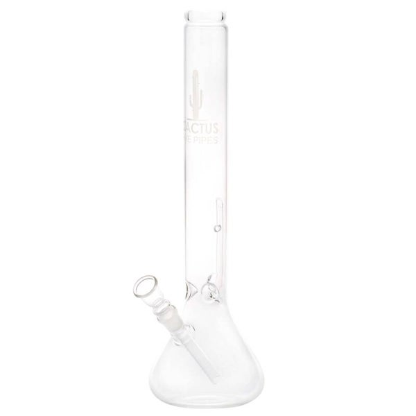 Cactus | Beaker Bong