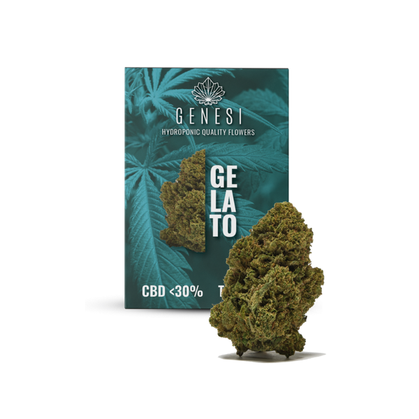 Genesi GELATO <30% 3g