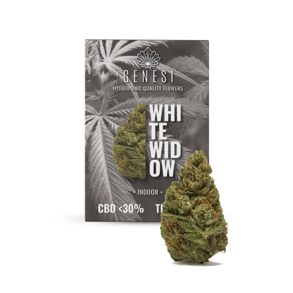Genesi WHITE WIDOW <30% 5g