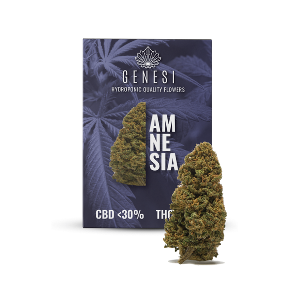 Genesi AMNESIA <30% 2g