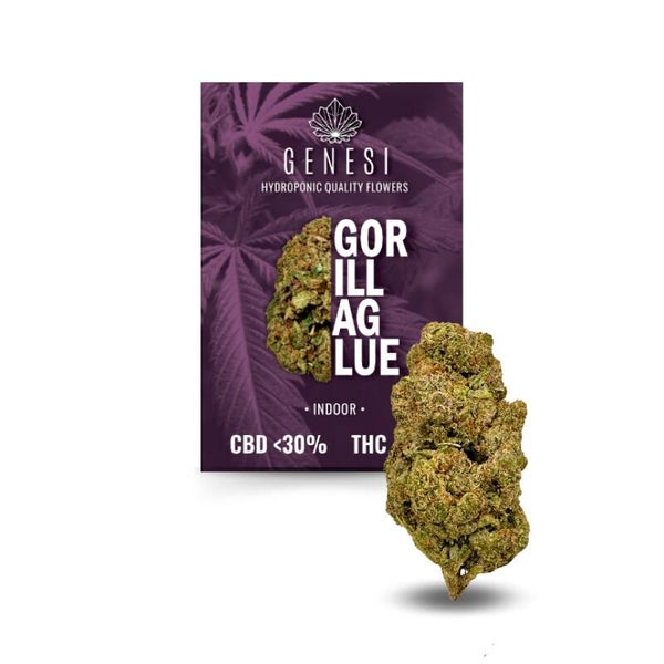 Genesi Gorilla Glue <30% 2g
