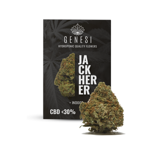 Genesi Jack Herer <30% 3g