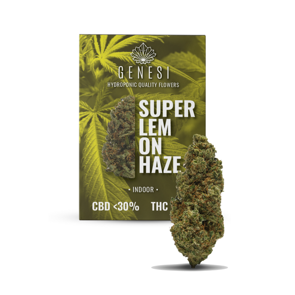 Genesi SUPER LEMONHAZE <30% 3g