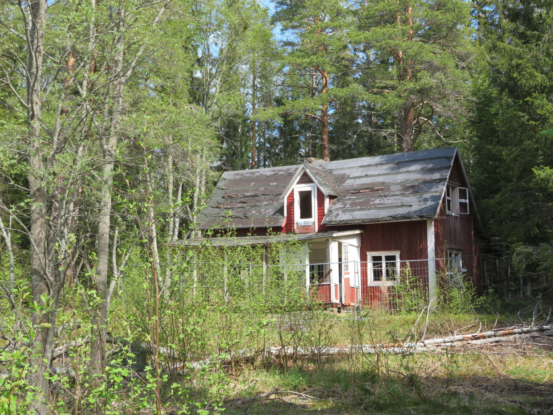 img_6702jpg.jpg