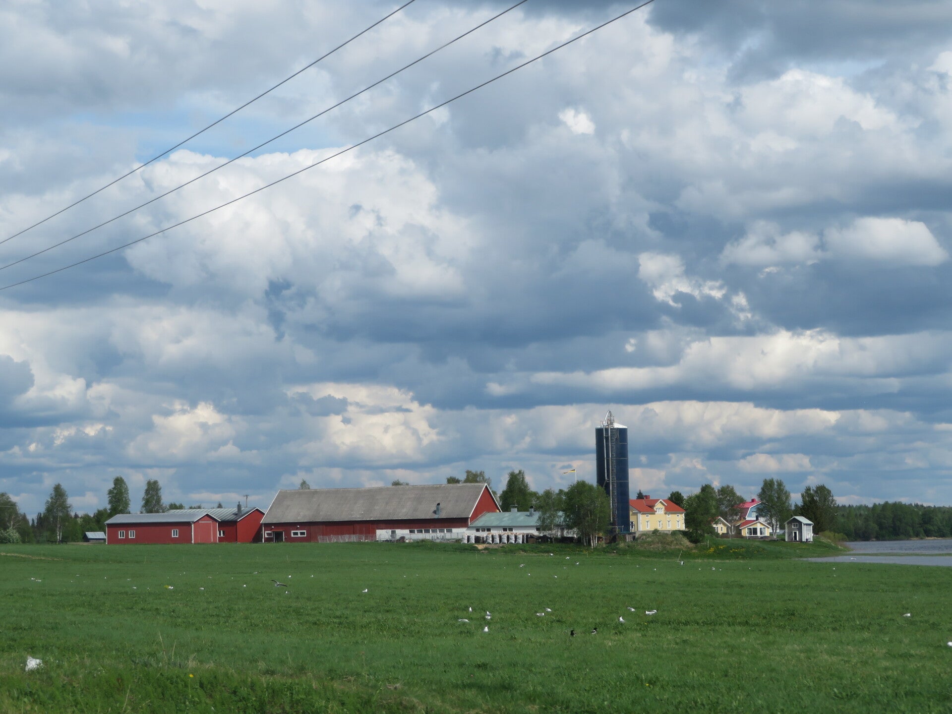 img_7001jpg.jpg