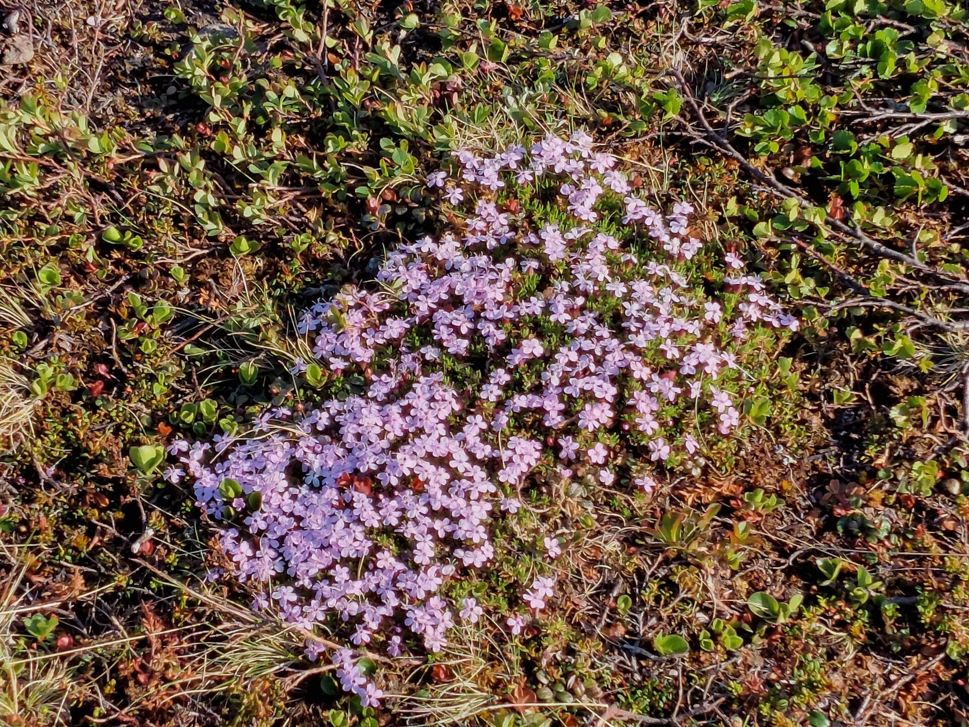 20220606_175310.jpg
