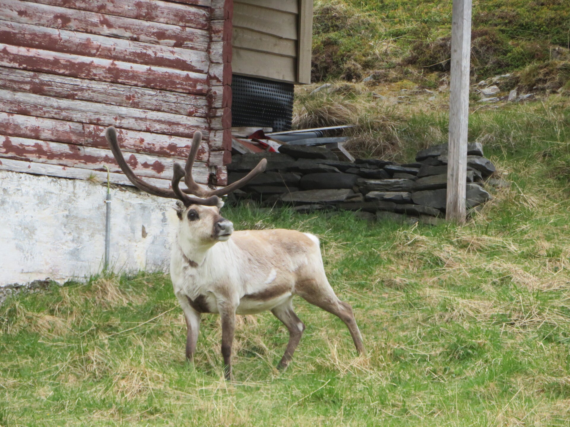 img_7463jpg.jpg