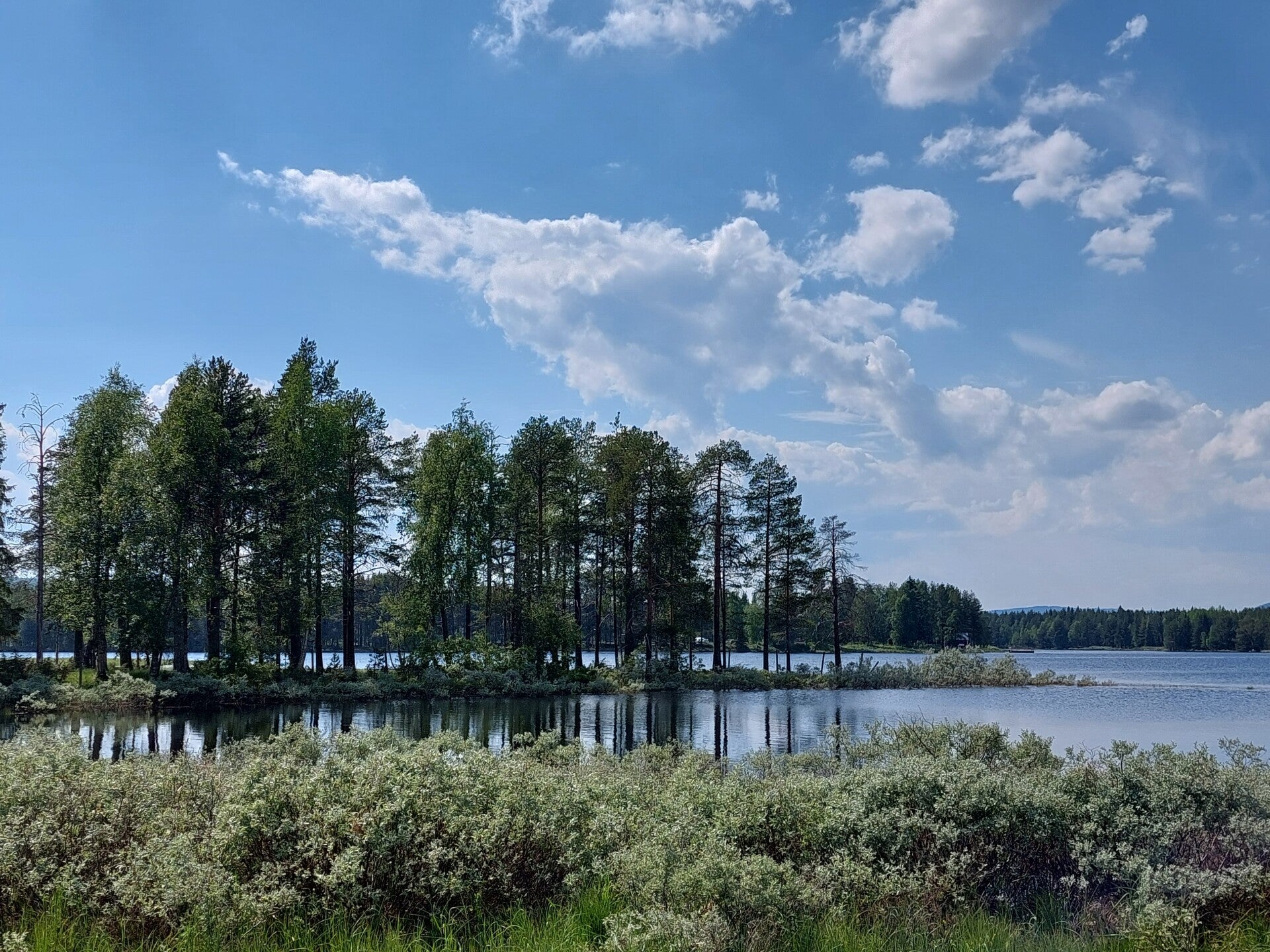 20220628_143710.jpg