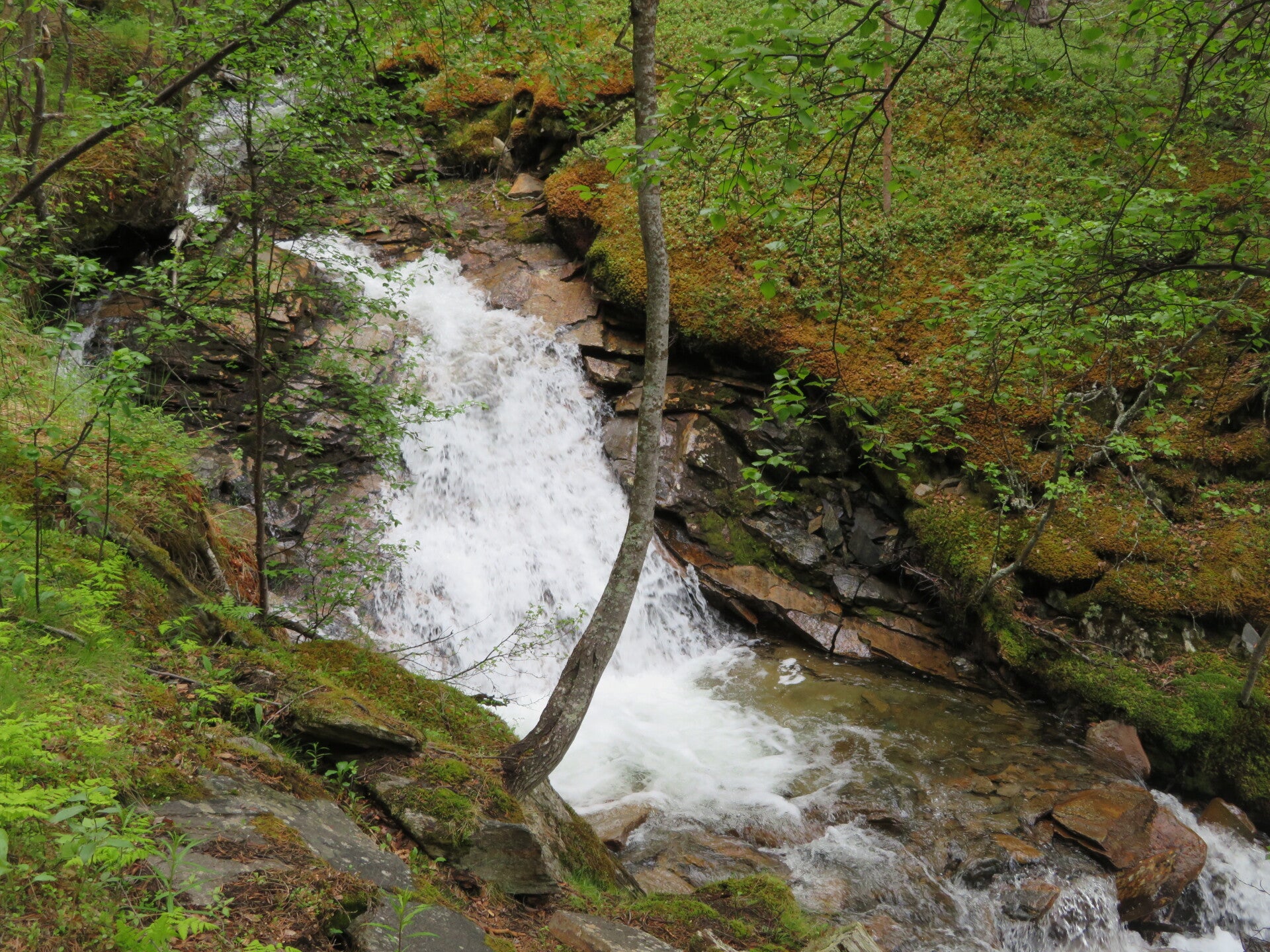 img_7691jpg.jpg