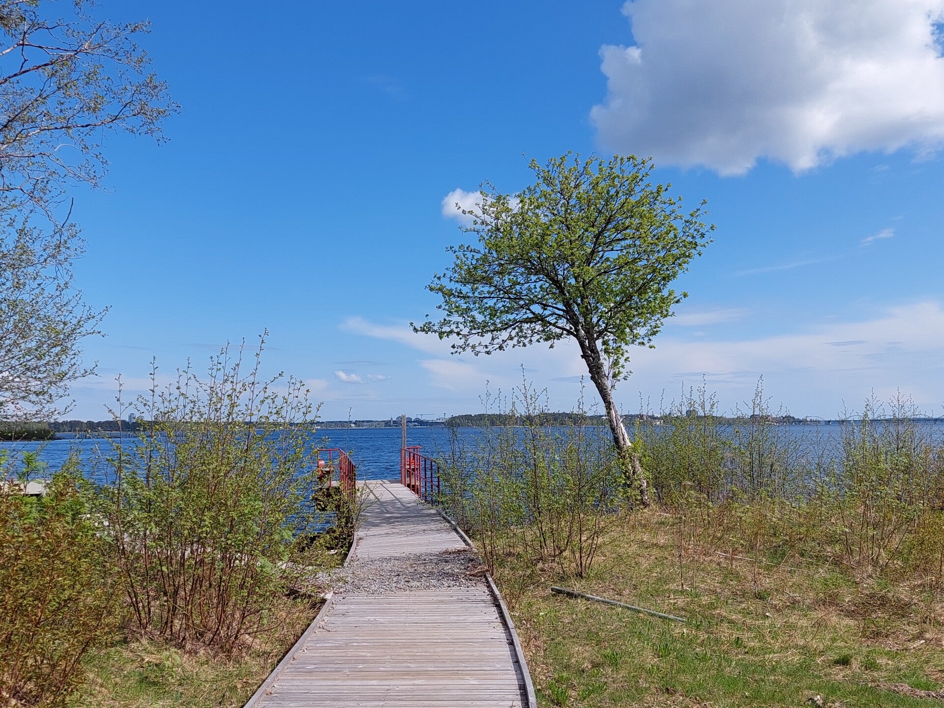 20220529_141155.jpg