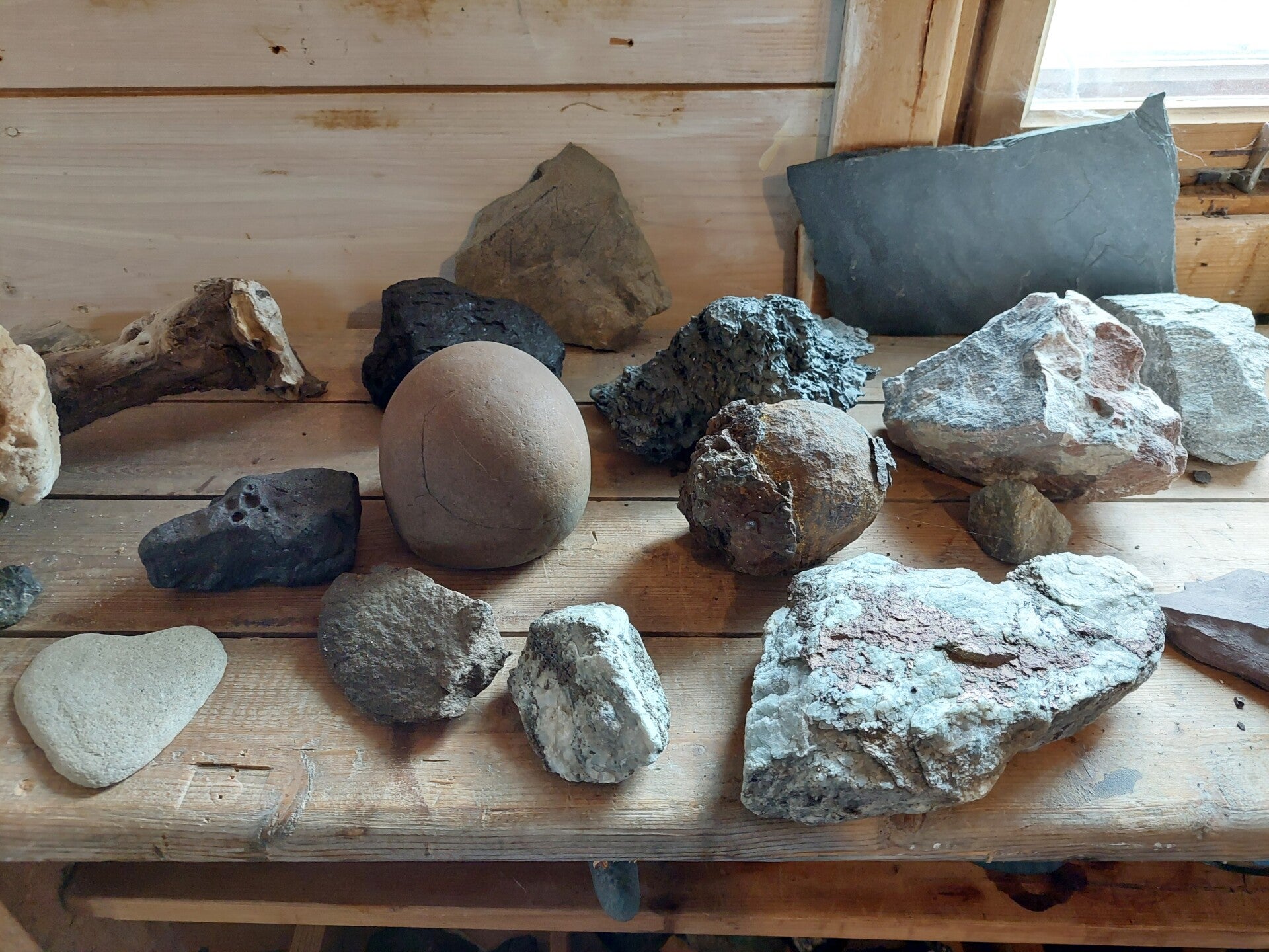 20220612_104915.jpg